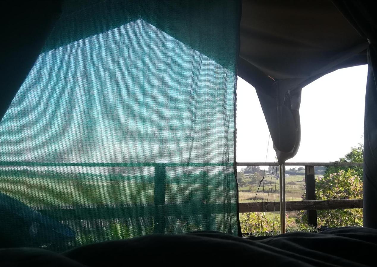Chosen Glamping Tents Graskop Exterior foto